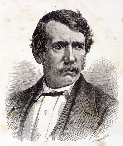 Porträtt av David Livingstone, brittisk missionär och upptäcktsresande (1813-1873) - i "" Tour du Monde", 2:a sem. 1875¿ av Unknown artist
