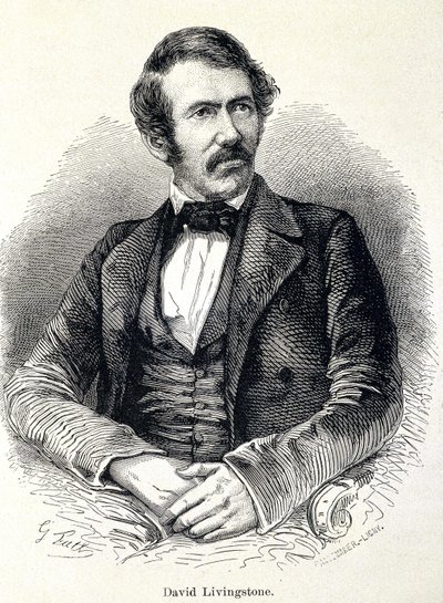 Porträtt av David Livingstone, skotsk missionär (1813-1873) av Unknown artist