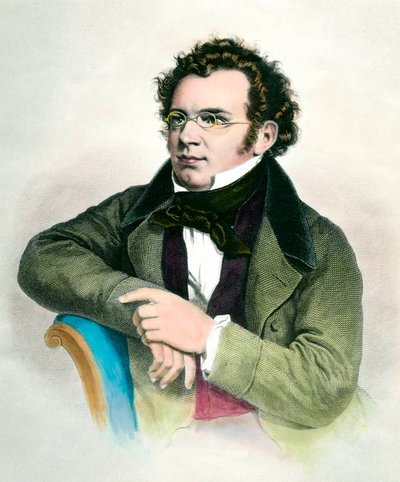 Porträtt av Franz Schubert (1797-1828), österrikisk kompositör. Gravyr av 1800-talet. Privat samling av Unknown artist