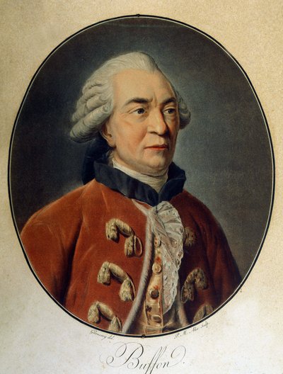 Porträtt av Georges Louis Leclerc, greve av Buffon (1707 - 1788), fransk naturforskare och författare. av Unknown artist