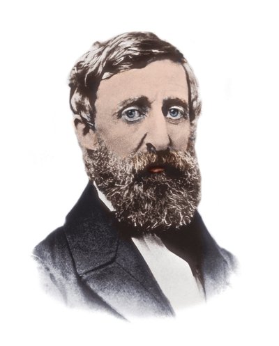 Porträtt av Henry David Thoreau (1817-1862) - amerikansk essäist, poet, filosof, abolitionist, naturforskare, skattemotståndare, utvecklingskritiker, lantmätare och historiker av Unknown artist
