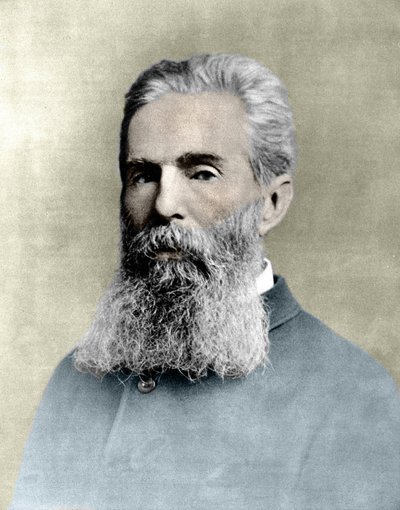 Porträtt av Herman Melville (1819 -1891) amerikansk författare. av Unknown artist