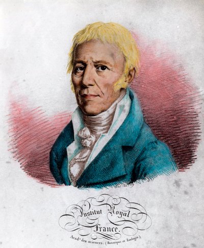 Porträtt av Jean Baptiste Lamarck (1744-1829), fransk naturforskare. Gravyr av 1800-talet. Privat samling. av Unknown artist