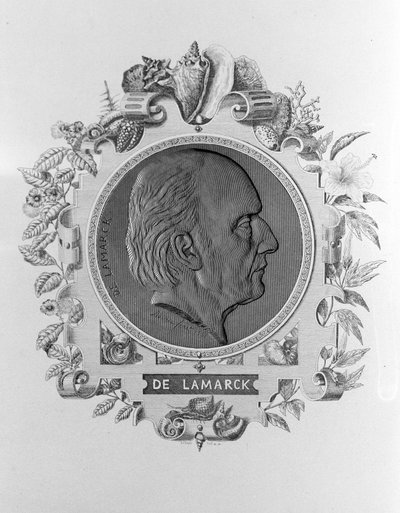 Porträtt av Lamarck (1744 - 1829). av Unknown artist