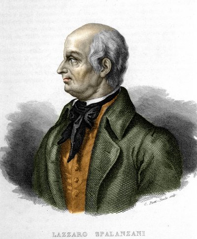 Porträtt av Lazzaro Spalanzani (eller Spallanzani), italiensk biolog (1729 - 1799) av Unknown artist