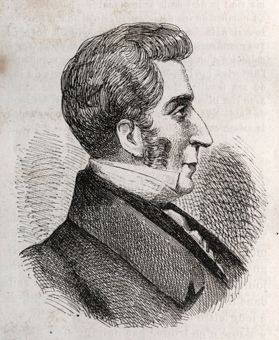 Porträtt av Louis Charles Bonaventure Pierre, greve av Mesnard 1769-1842 - gravyr av Unknown artist