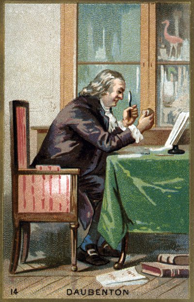 Porträtt av Louis Jean Marie Daubenton, dit Daubenton (1716 - 1800), fransk naturforskare. Kromolitografi av 1800-talet. av Unknown artist