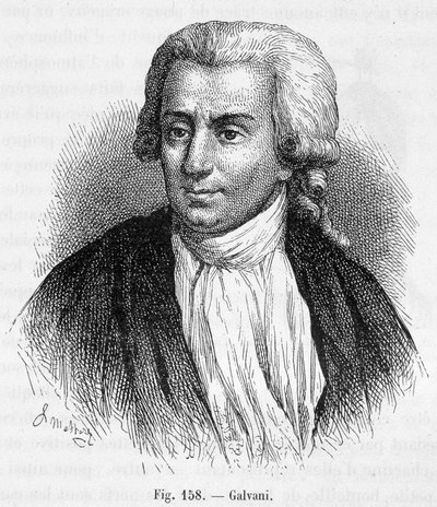 Porträtt av Luigi Galvani, italiensk läkare och fysiker (1737 - 1798) - i "" Magnetism and Electricity"" av Amédée Guillemin av Unknown artist