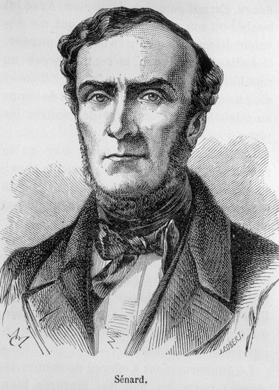 Porträtt av Marie Antoine Jules Senard, ledamot av advokatsamfundet i Paris, fd ordförande för nationalförsamlingen och tidigare inrikesminister. Han försvarade Gustave Flaubert under rättegången efter Madame Bovarys publicering. Gravyr av 1800-talet. av Unknown artist