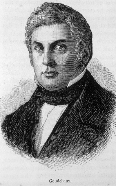Porträtt av Michel Goudchaux av Unknown artist