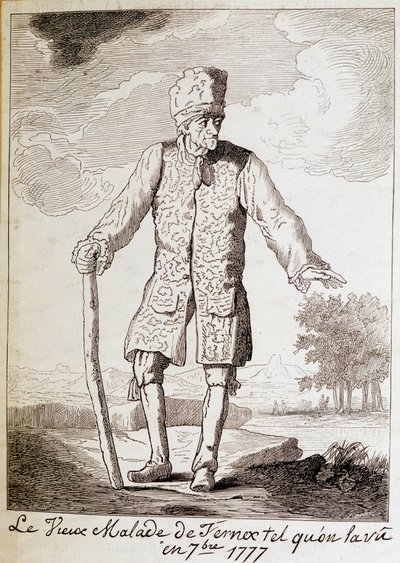 Porträtt av Voltaire (1694 - 1778), fransk författare och filosof, äldre. av Unknown artist