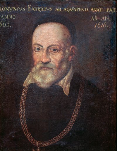 Porträtt av banbrytande anatom och kirurg Hieronymus Fabricius (målning av Unknown artist