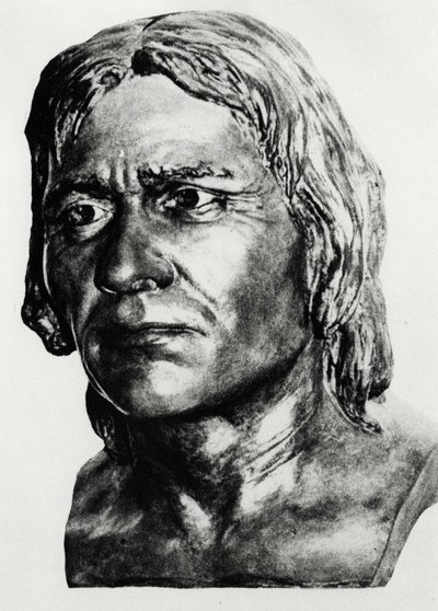 Förhistoria: rekonstruktion av Cro-Magnons man (byst), efter Mac Grégor. av Unknown artist