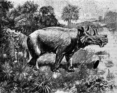 Förhistoria: representation av en fyrhornig Uintatherium-dinosaurie. av Unknown artist