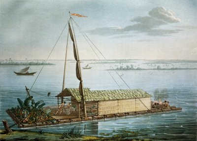 Flotte på Guayaquil River, Ecuador av Unknown artist