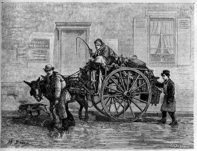 Trasor: en chinker trasa, av naturen. Gravyr i "The Journal of Youth" av Unknown artist