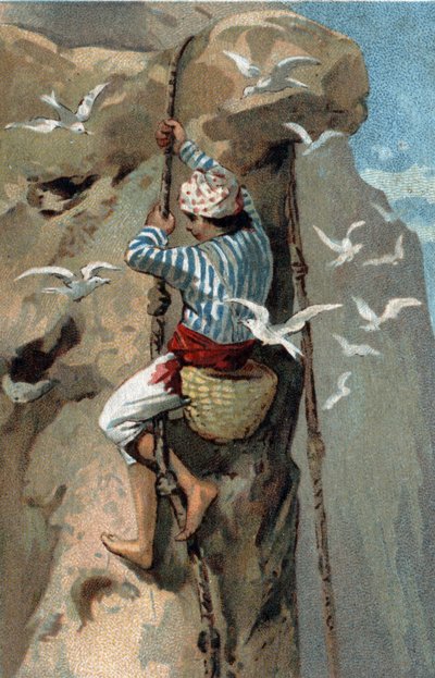 Omlokalisering av salangans svalbon i Malaysia. Kromolitografi från slutet av 1800-talet. av Unknown artist