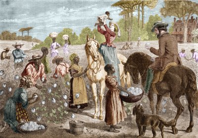 Återvunnen bomull från ett hus i södra USA 1864. av Unknown artist
