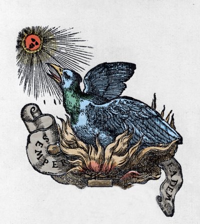 Representation av en Fenix (eller Fenix), legendarisk fågel, återfödd ur sin aska. Gravyr av 1800-talet av Unknown artist