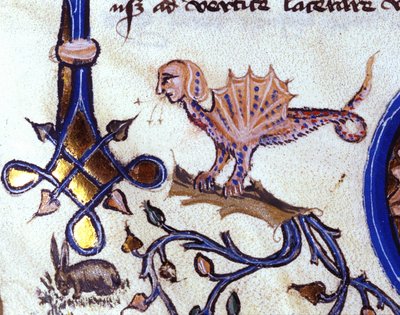 Representation av ett fantastiskt djur mi man mi dragon. Miniatyr av ett 1300-talsmanuskript av Unknown artist