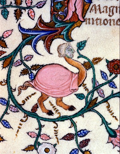 Representation av ett monster med en strutskropp och ett människohuvud. Miniatyr av ett 1300-talsmanuskript. Milano, Biblioteca Nazionale Braidense. av Unknown artist