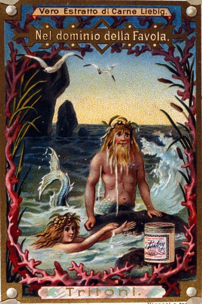 Representation av vattensalamandrar, legendariska varelser mi man mi fisk. kromolitografi från 1800-talet av Unknown artist