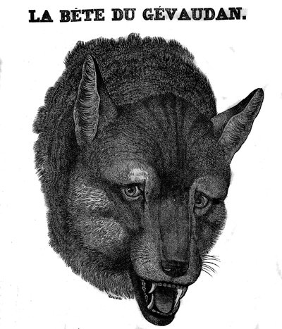 Representation av Bete du Gevaudan. av Unknown artist