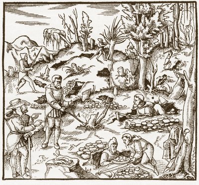 Rhabdomancy - rhabdomancie - Utforskning av ett gruvfält med hjälp av spådomsstaven - Män skär och använder spådomsstavar för att lokalisera mineraler - Från "" De re metallica"" av Georgius Agricola (Georg Bauer), Basel av Unknown artist