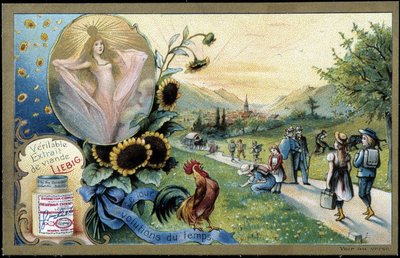 Tupp som sjunger soluppgången - chromo. Liébig, deb. 1900-talet av Unknown artist