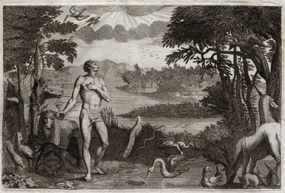 Royaumont Bibeln, Gamla testamentet: Skapandet av man och kvinna. Gud som skapade människan, sätter henne i det jordiska paradiset och förbjuder henne att äta av frukten på kunskapens träd om gott och ont. Illustration från 1811. av Unknown artist