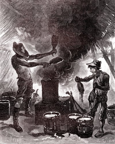 Gummiberedning eller vulkanisering i Brasilienskogen av Unknown artist