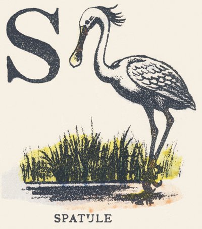 S: spatel av Unknown artist