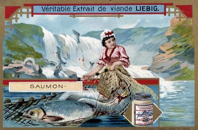 Laxfiske - 1800-talets chromo. av Unknown artist