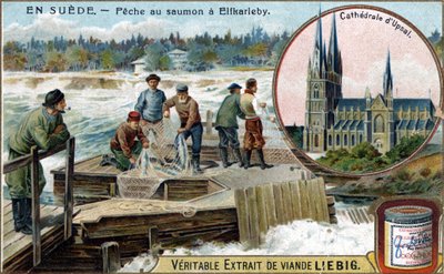Laxfiske i Elfkarleby, Sverige. Kromolitografi, Liebig-bild. av Unknown artist