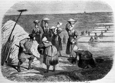 Saltproduktion: kvinnor som arbetar i saltmarker. 1800-talsgravyr av Unknown artist