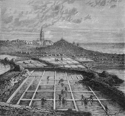 Sauniers i ett saltkärr i Bourg de Batz, nära Croizic (Bretagne) under perioden av Saunage. I "Industrys underverk"" av Louis Figuier. av Unknown artist