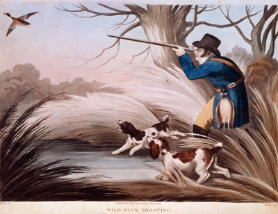 Scen för ankakt i England. 1800-talslitografi Gien, jaktmuseum av Unknown artist