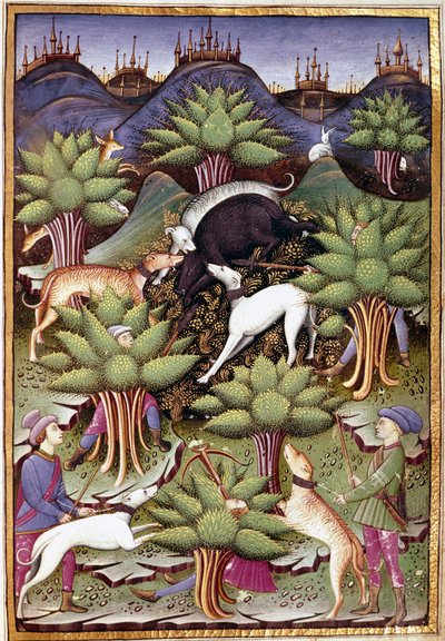 Scen för vildsvinsjakt Miniatyr från "" Behandla falkejakt och venerier med mottot och emblemet för hertigen av Sforza" 1459 (ms. 1375) Chantilly, Musee Conde av Unknown artist