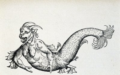 Havsdjävul, förmodas fångad i Adriatiska havet i början av 1400-talet - enligt Gesner av Unknown artist
