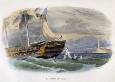 Hajfiske - i "Lacepèdes naturhistoria"" av Unknown artist