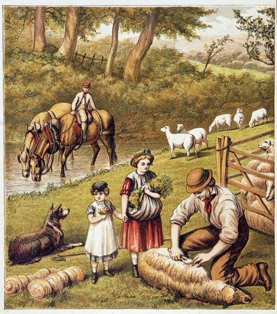 Fårklippning - kromolitografi av Unknown artist