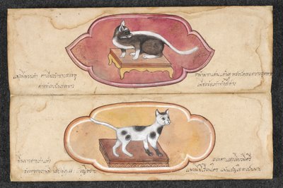 Siamesiska katter av Unknown artist