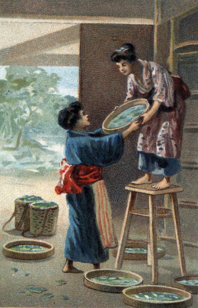 Silkesmaskuppfödning i en japansk magnet. Kromolitografi i slutet av 1800-talet. av Unknown artist