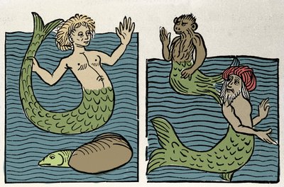 Sirene eller Virgin of the Sea, Monkey och Sea Turk. Gravyr från "Hortus sanitatis"" av Unknown artist