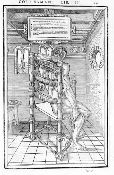 Skalle skuren. Anatomisk styrelse för "Dissektionen av de tre delarna av människokroppen..." Carlo Stefano Riverio, Paris 1545 av Unknown artist