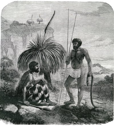 Ormjägare i Australien. Gravyr 1868 av Unknown artist