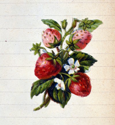 Jordgubbar. 1800-talets kromolitografi. av Unknown artist