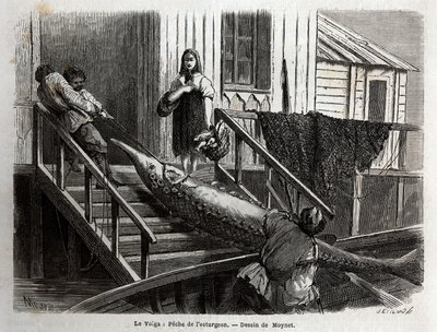Störfiske vid mynningen av floden Volga. Gravyr för att illustrera resan på Volga av M. Moynet, 1864, i "" Le tour du monde, nouveau journal des voyages"" publicerad under ledning av Edouard Charton av Unknown artist