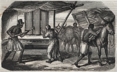 Sockertillverkning: en sockerrörsfabrik i en sockerfabrik i Västindien. Gravyr från 1859. av Unknown artist