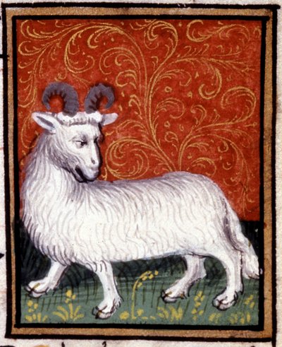 Väduren. Miniatyr av ett horoskop. 1400-talsmanuskript. Bibl. Trivulziana, Milano. av Unknown artist
